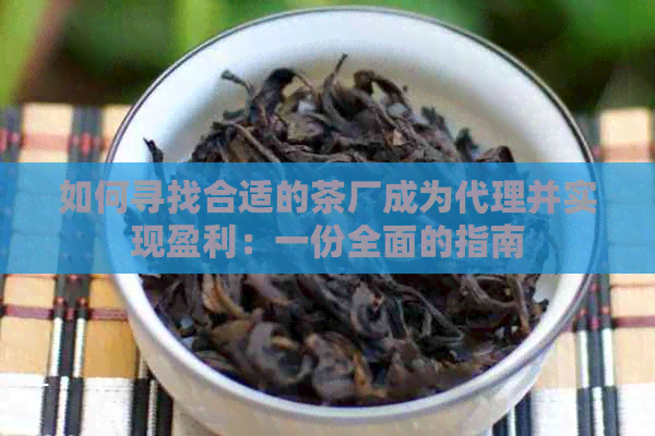 如何寻找合适的茶厂成为代理并实现盈利：一份全面的指南