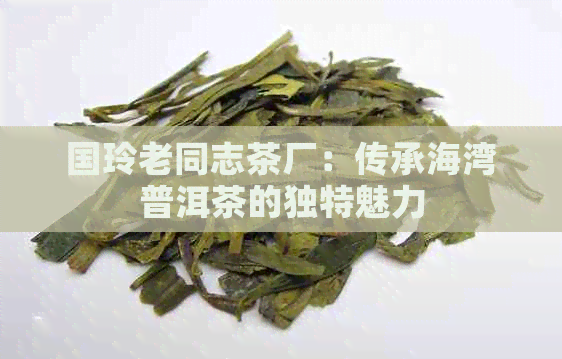 国玲老同志茶厂：传承海湾普洱茶的独特魅力