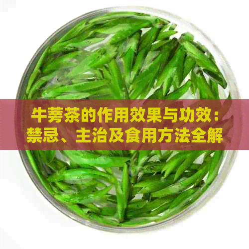 牛蒡茶的作用效果与功效：禁忌、主治及食用方法全解析