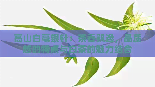 高山白毫银针：茶香飘逸，品质越的特点与白茶的魅力结合