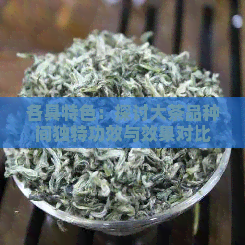 各具特色：探讨大茶品种间独特功效与效果对比