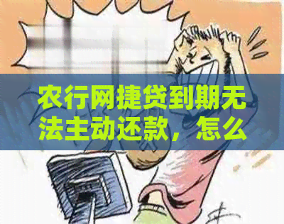 农行网捷贷到期无法主动还款，怎么办？