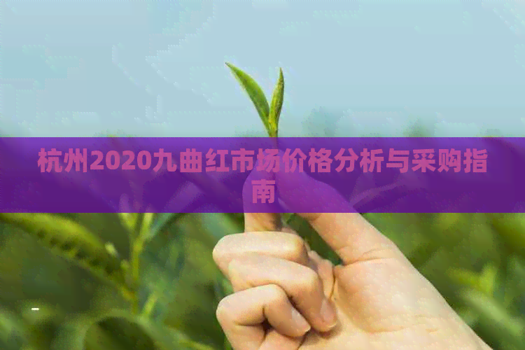 杭州2020九曲红市场价格分析与采购指南