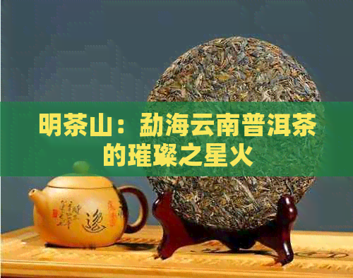 明茶山：勐海云南普洱茶的璀璨之星火