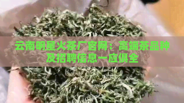 云南明星火茶厂官网：高端茶品种及招聘信息一应俱全