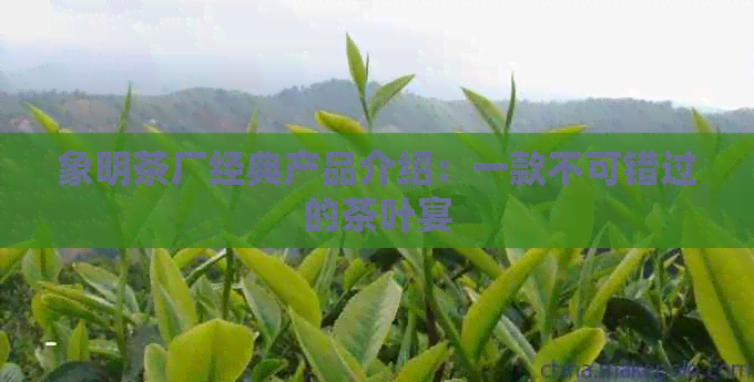 象明茶厂经典产品介绍：一款不可错过的茶叶宴