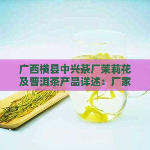 广西横县中兴茶厂茉莉花及普洱茶产品详述：厂家之旅