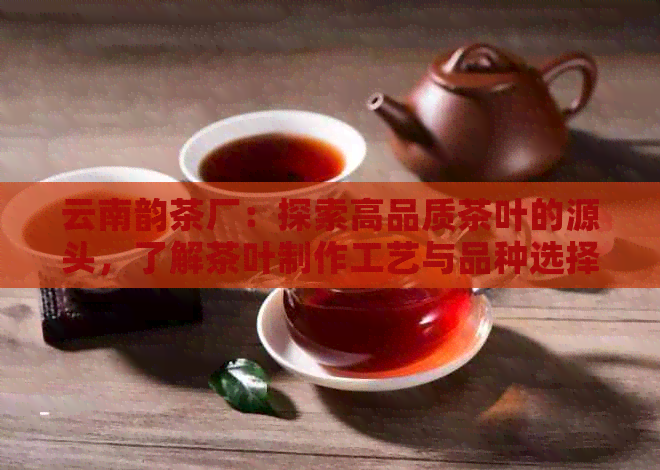 云南韵茶厂：探索高品质茶叶的源头，了解茶叶制作工艺与品种选择