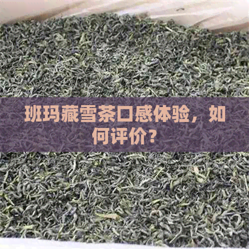 班玛藏雪茶口感体验，如何评价？