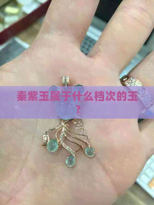 秦紫玉属于什么档次的玉？