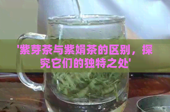 '紫芽茶与紫娟茶的区别，探究它们的独特之处'