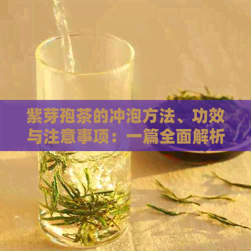 紫芽孢茶的冲泡方法、功效与注意事项：一篇全面解析，让你喝出健与美味