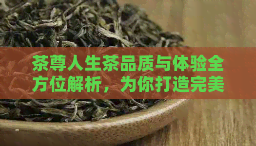 茶尊人生茶品质与体验全方位解析，为你打造完美的品茶之旅