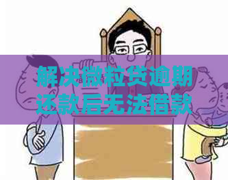 解决微粒贷逾期还款后无法借款问题，原因分析及后续处理方法