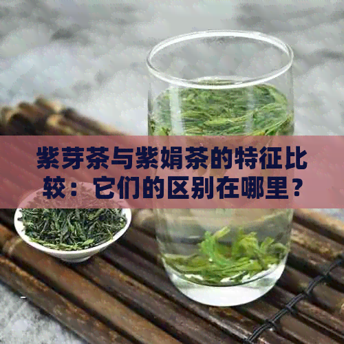 紫芽茶与紫娟茶的特征比较：它们的区别在哪里？