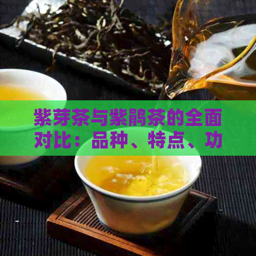 紫芽茶与紫鹃茶的全面对比：品种、特点、功效及制作方法解析