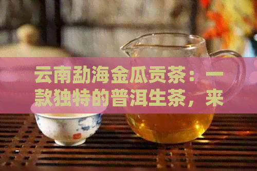 云南勐海金瓜贡茶：一款独特的普洱生茶，来自价格实的茶厂