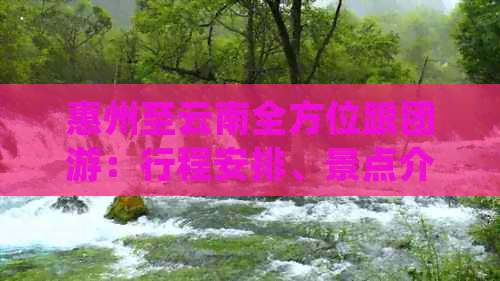 惠州至云南全方位跟团游：行程安排、景点介绍、费用预算及注意事项一应俱全