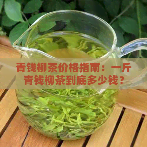 青钱柳茶价格指南：一斤青钱柳茶到底多少钱？