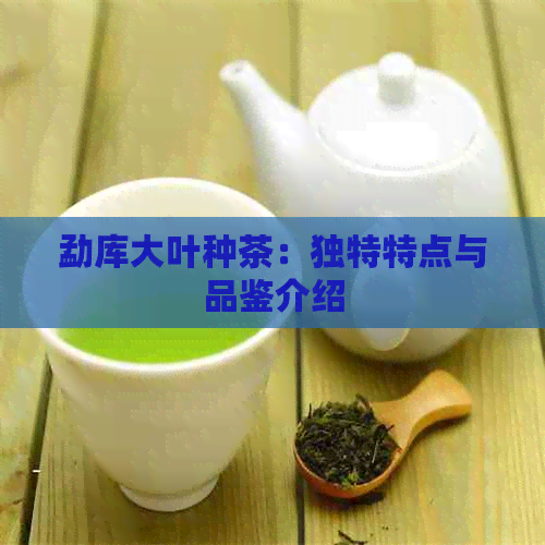 勐库大叶种茶：独特特点与品鉴介绍