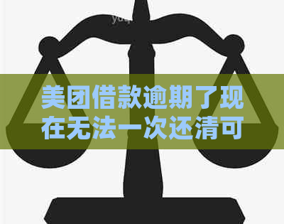 美团借款逾期了现在无法一次还清可以分期还吗？