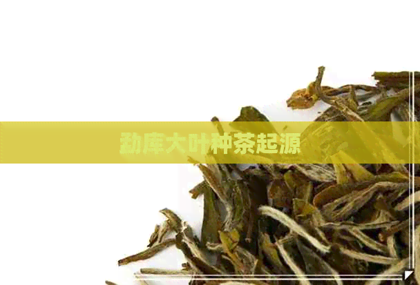 勐库大叶种茶起源