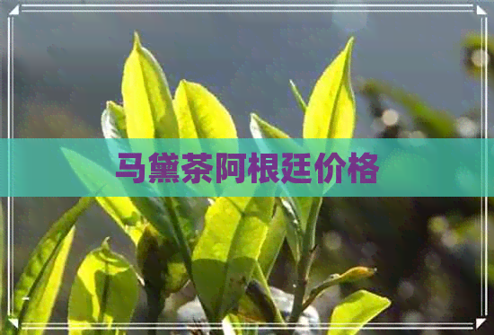 马黛茶阿根廷价格