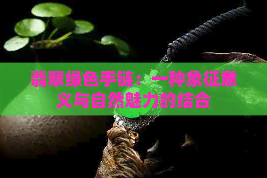 翡翠绿色手链：一种象征意义与自然魅力的结合