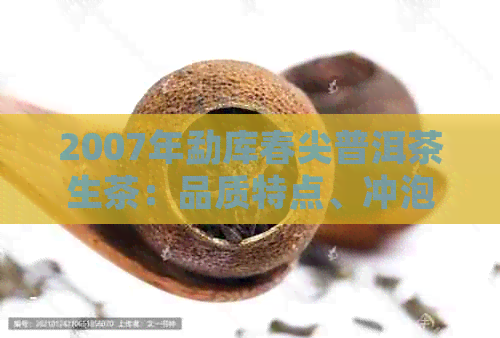 2007年勐库春尖普洱茶生茶：品质特点、冲泡方法与口感评价，一篇全面指南