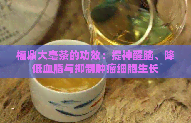 福鼎大毫茶的功效：提神醒脑、降低血脂与抑制肿瘤细胞生长