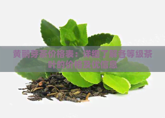 黄鹂芽茶价格表：详细了解各等级茶叶的价格及优信息