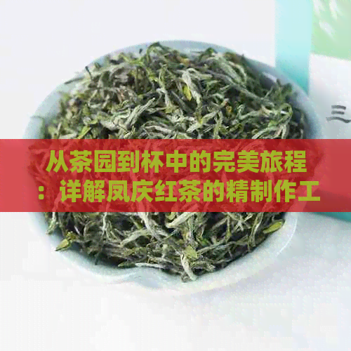 从茶园到杯中的完美旅程：详解凤庆红茶的精制作工艺及流程