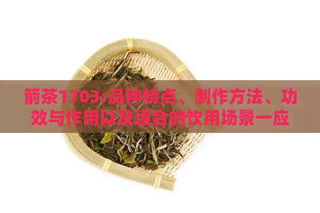 箭茶1703:品种特点、制作方法、功效与作用以及适合的饮用场景一应俱全