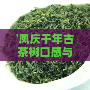 '凤庆千年古茶树口感与价格解析：云南凤庆县3200年古树茶'