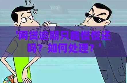 '网贷逾期只能慢慢还吗？如何处理？'