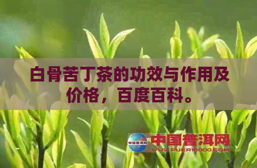 白骨苦丁茶的功效与作用及价格，百度百科。