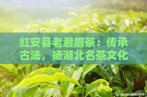 红安县老君眉茶：传承古法，扬湖北名茶文化