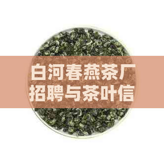 白河春燕茶厂招聘与茶叶信息，联系电话和地址