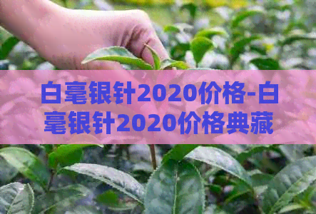 白毫银针2020价格-白毫银针2020价格典藏版多少钱