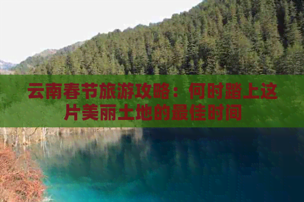 云南春节旅游攻略：何时踏上这片美丽土地的更佳时间