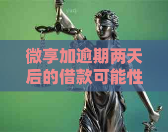 微享加逾期两天后的借款可能性及相关影响分析