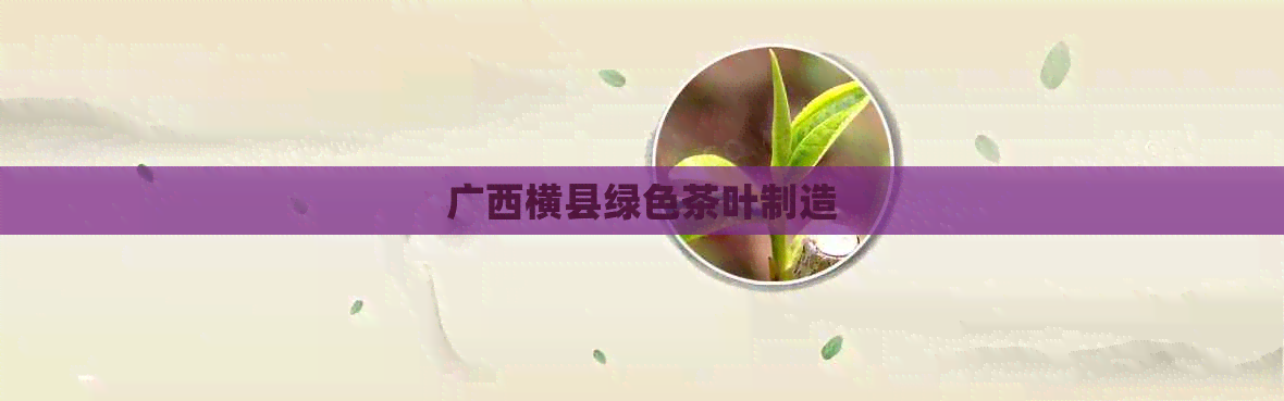 广西横县绿色茶叶制造