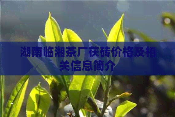 湖南临湘茶厂茯砖价格及相关信息简介