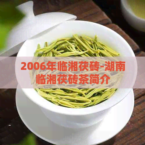 2006年临湘茯砖-湖南临湘茯砖茶简介