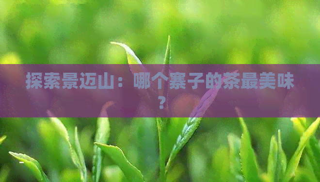 探索景迈山：哪个寨子的茶最美味？