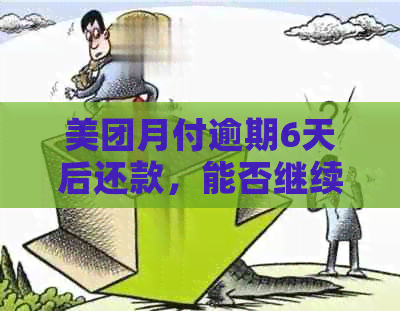 美团月付逾期6天后还款，能否继续使用借呗和花呗？