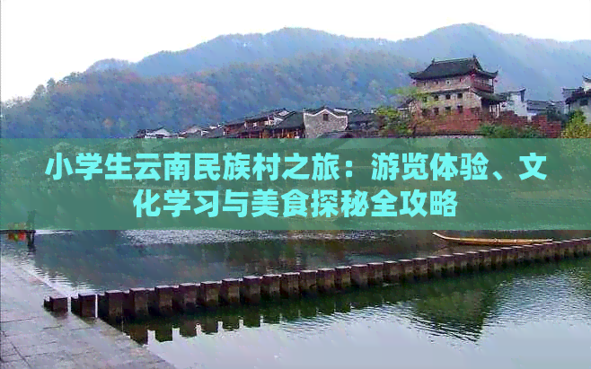 小学生云南民族村之旅：游览体验、文化学习与美食探秘全攻略