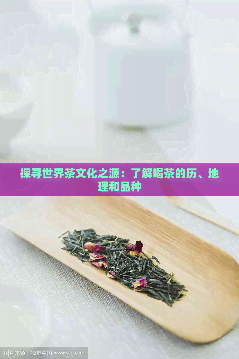 探寻世界茶文化之源：了解喝茶的历、地理和品种