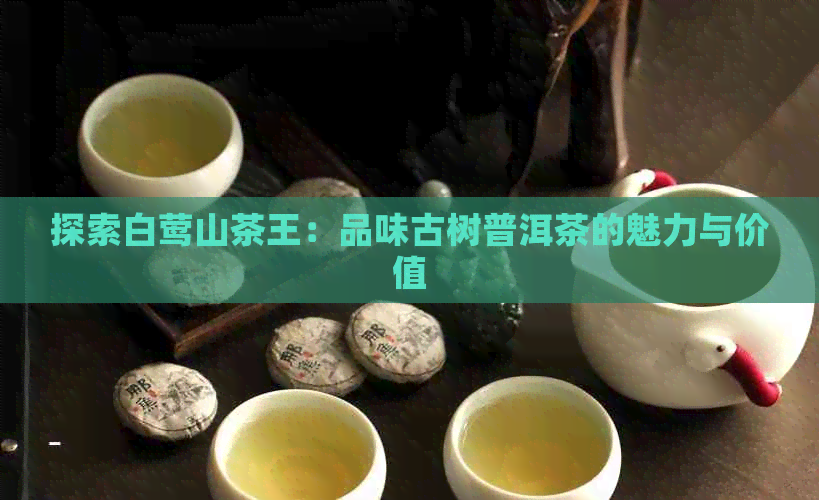 探索白莺山茶王：品味古树普洱茶的魅力与价值