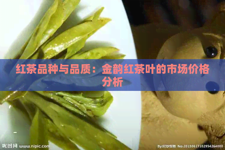 红茶品种与品质：金韵红茶叶的市场价格分析